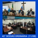 42ª Sessão Ordinária (11/08/2021)