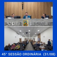 45ª Sessão Ordinária 2022 (31/08/2022)